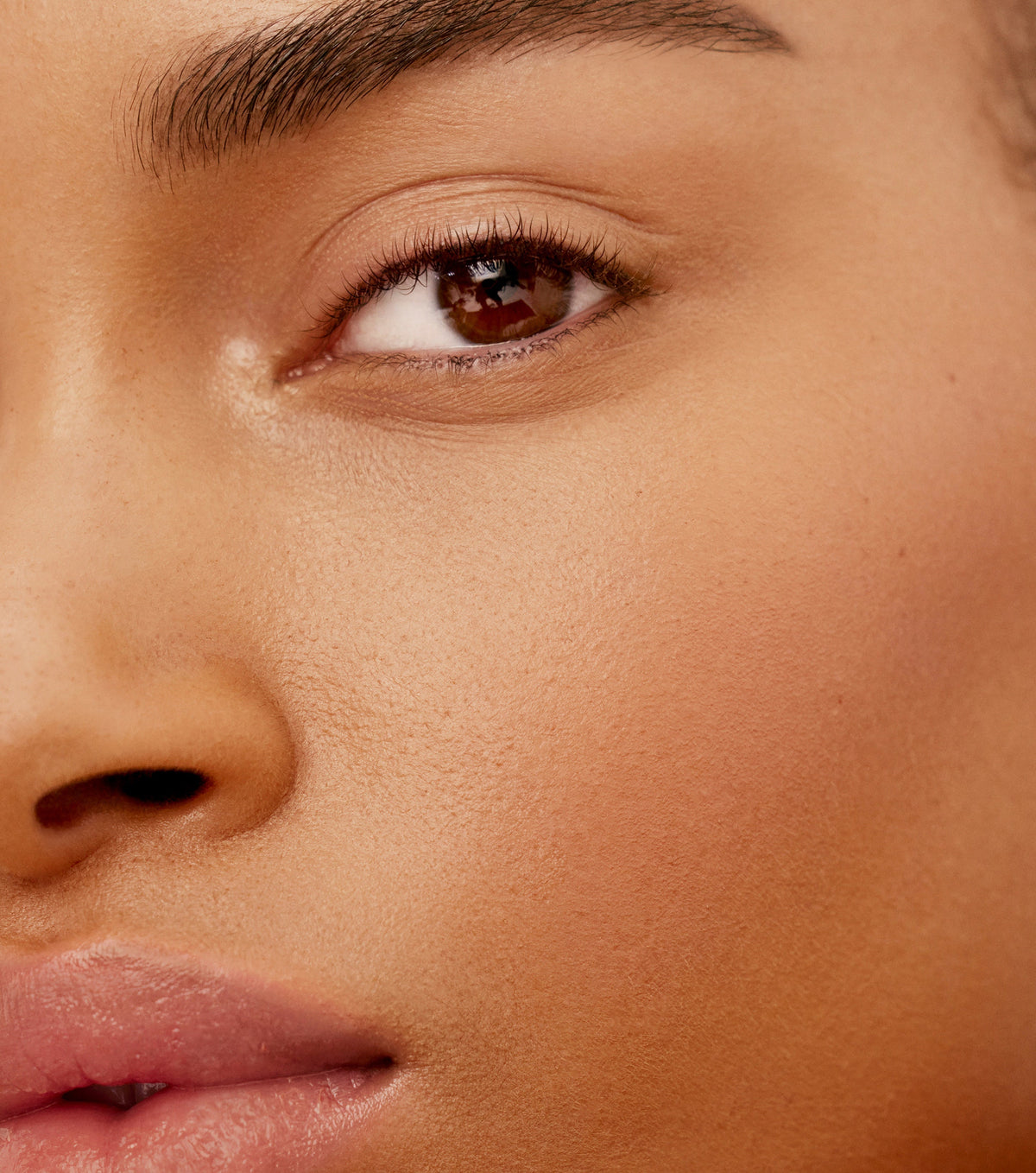 Westman Atelier Vital Pressed Skincare Powder